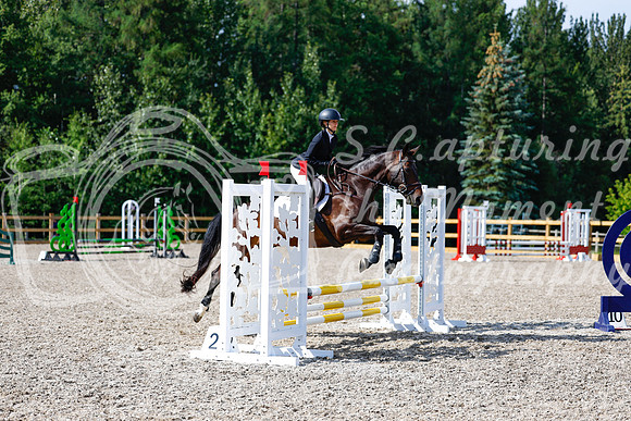 2025 - Haylee - Picco Horse Show - Thursday July 24th 01067