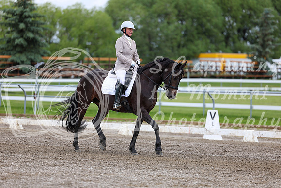 2025 - Dressage Festival - Sunday July 6th - 10452