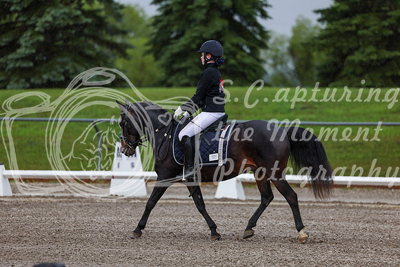 2025 - Dressage Festival - Sunday July 6th - 00023