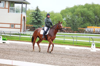 2025 - Dressage Festival - Sunday July 6th - 03572