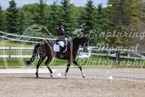 2025 - Dressage Festival - Saturday July 5th - 11462