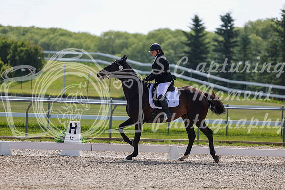 2025 - Dressage Festival - Saturday July 5th - 02654