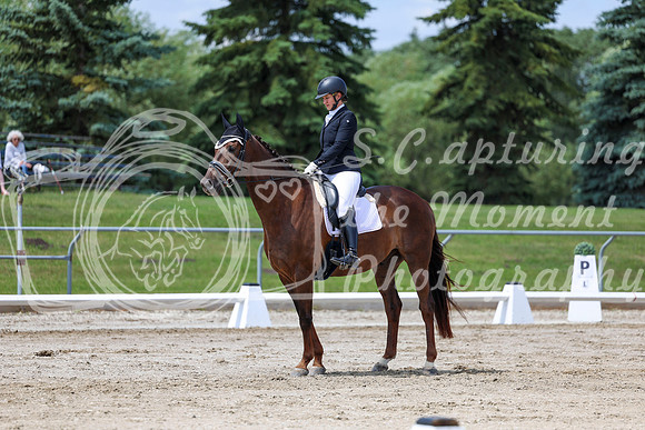 2025 - Dressage Festival - Saturday July 5th - 08486