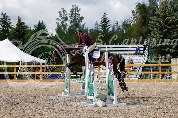 2025 - Haylee - Picco Horse Show - Sunday July 27th 03260