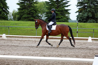 2025 - Dressage Festival - Sunday July 6th - 07811