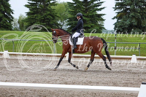2025 - Dressage Festival - Sunday July 6th - 07811