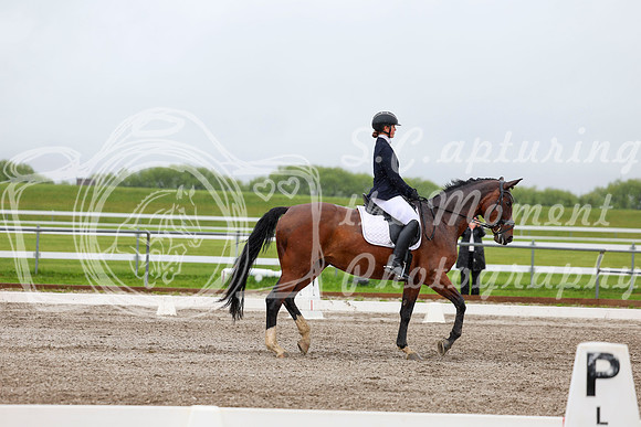 2025 - Dressage Festival - Sunday July 6th - 04259