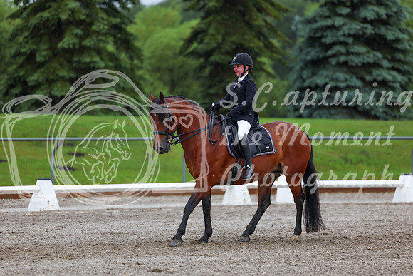 2025 - Dressage Festival - Sunday July 6th - 01071