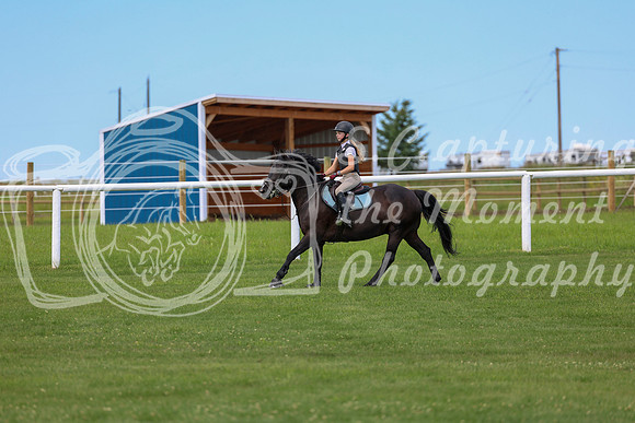 2025 - Shea - Teesdale - Thursday July 24th - 03801