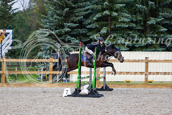 2025 - Haylee - Picco Horse Show - Sunday July 27th 01105