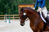 2025 - Haylee - Picco Horse Show - Saturday July 26th 02028