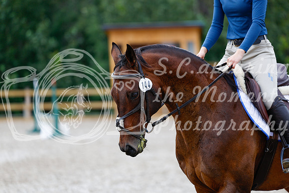 2025 - Haylee - Picco Horse Show - Saturday July 26th 02028