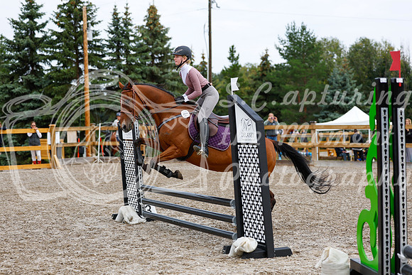 2025 - Haylee - Picco Horse Show - Saturday July 26th 00949