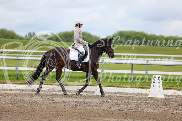 2025 - Dressage Festival - Sunday July 6th - 10571