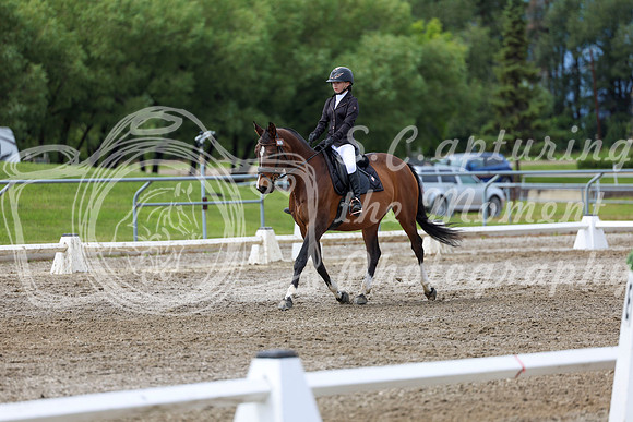 2025 - Dressage Festival - Sunday July 6th - 14398