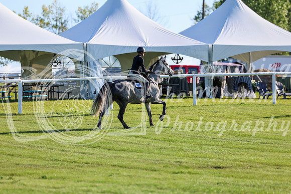 2025 - Shea - Teesdale - Friday July 25th - 03398
