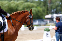 2025 - Dressage Festival - Saturday July 5th - 09316