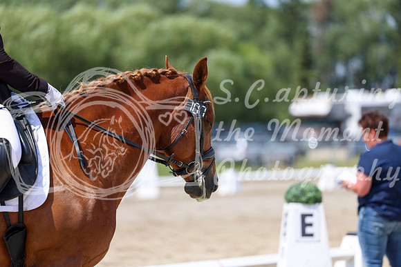 2025 - Dressage Festival - Saturday July 5th - 09316