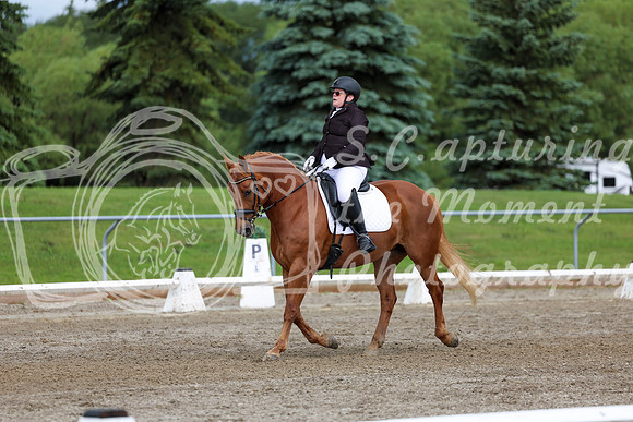 2025 - Dressage Festival - Sunday July 6th - 11296