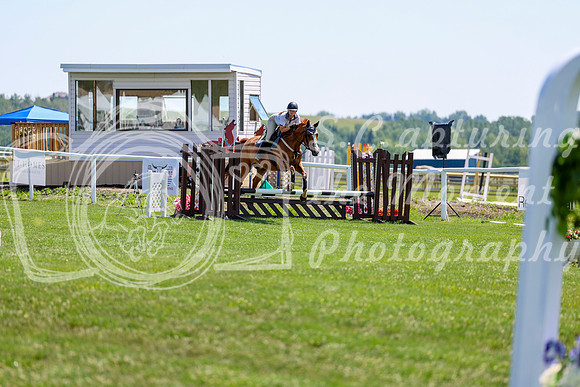 2025 - Shea - Teesdale - Thursday July 24th - 01743