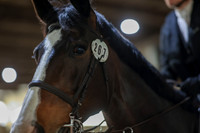 2025 - HJ Schooling - Sunday March 23rd - 1464