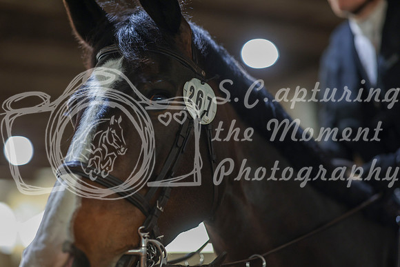 2025 - HJ Schooling - Sunday March 23rd - 1464