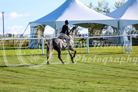 2025 - Shea - Teesdale - Friday July 25th - 03391