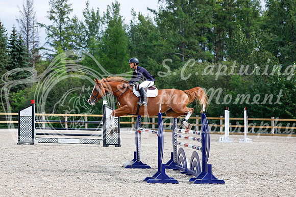 2025 - Haylee - Picco Horse Show - Sunday July 27th 05793