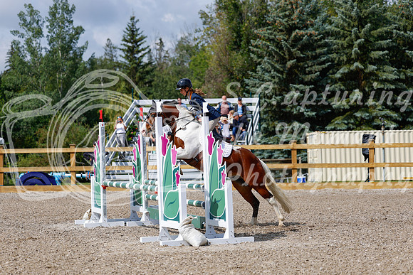 2025 - Haylee - Picco Horse Show - Sunday July 27th 02465