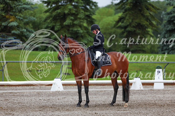 2025 - Dressage Festival - Sunday July 6th - 01075