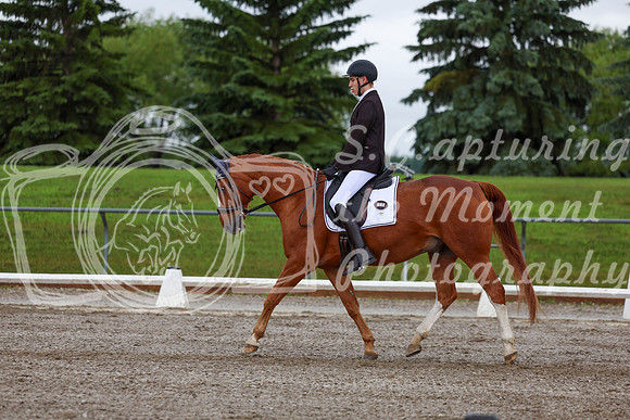 2025 - Dressage Festival - Sunday July 6th - 01323
