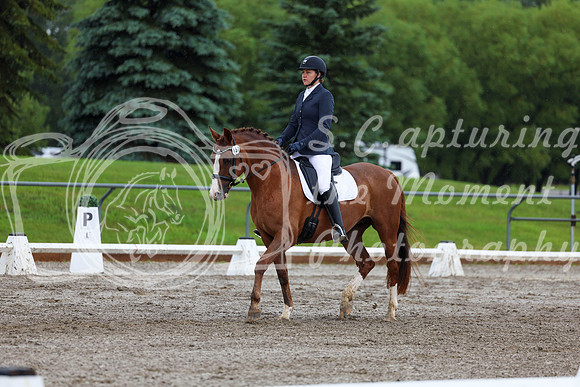 2025 - Dressage Festival - Sunday July 6th - 05221