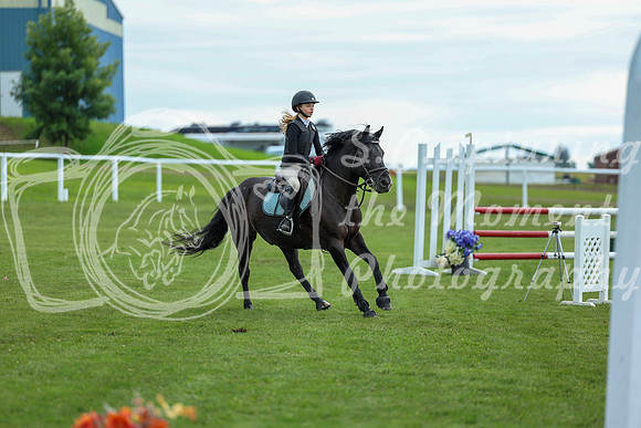 2025 - Shea - Teesdale - Saturday July 26th - 03215