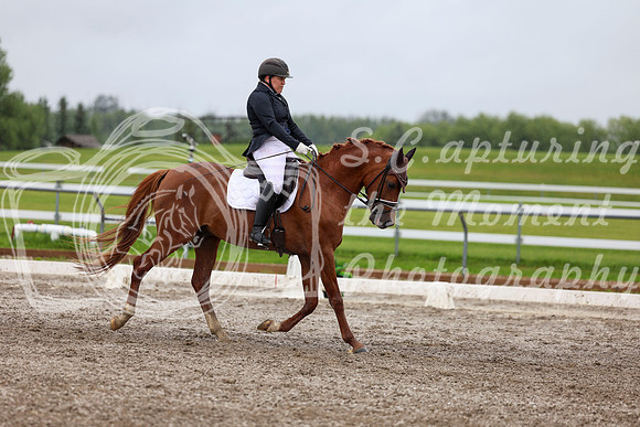 2025 - Dressage Festival - Sunday July 6th - 09031