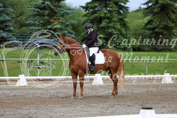 2025 - Dressage Festival - Sunday July 6th - 11309