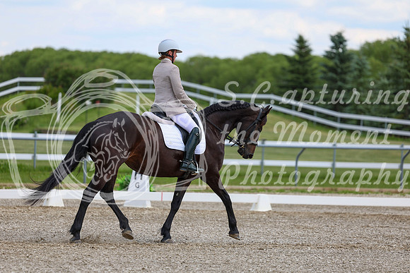 2025 - Dressage Festival - Saturday July 5th - 10685