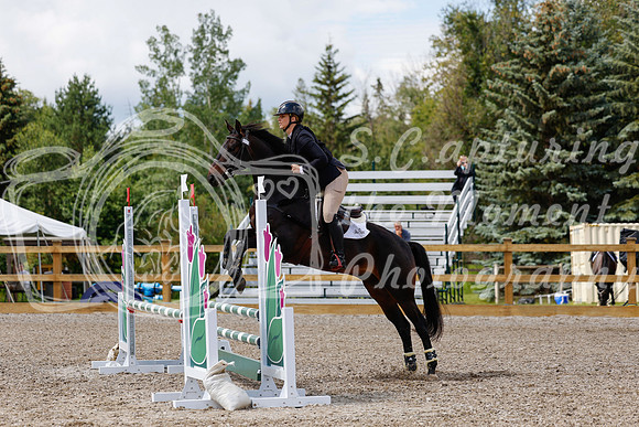 2025 - Haylee - Picco Horse Show - Sunday July 27th 03385