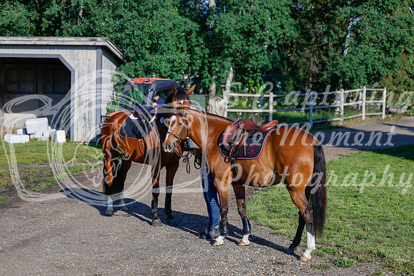 2025 - Haylee - Picco Horse Show - Thursday July 24th 00011