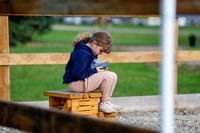 2025 - Haylee - Picco Horse Show - Saturday July 26th 00015