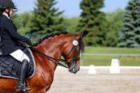 2025 - Dressage Festival - Saturday July 5th - 01865