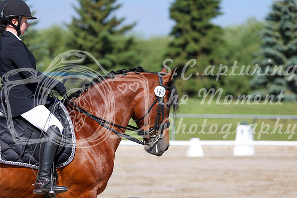2025 - Dressage Festival - Saturday July 5th - 01865