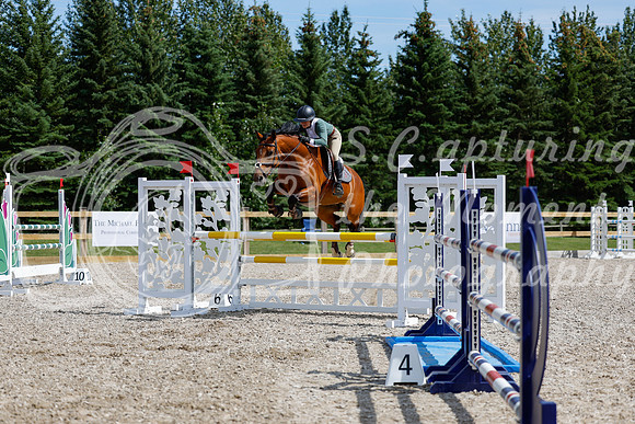2025 - Haylee - Picco Horse Show - Thursday July 24th 04378