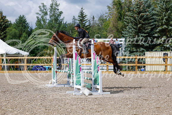 2025 - Haylee - Picco Horse Show - Sunday July 27th 02729