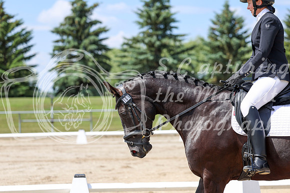 2025 - Dressage Festival - Saturday July 5th - 06968