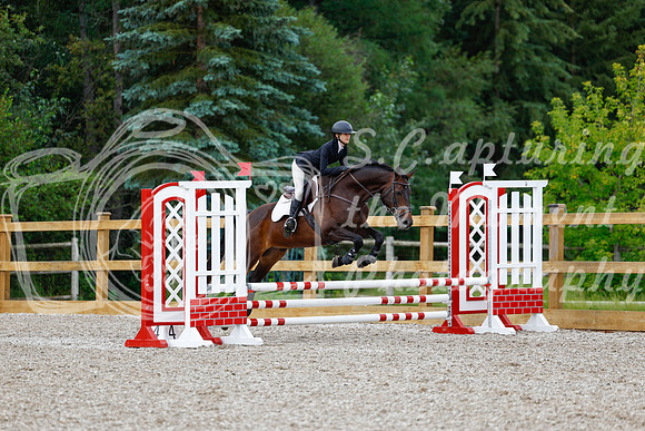 2025 - Haylee - Picco Horse Show - Friay July 25th 00992