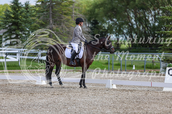 2025 - Dressage Festival - Saturday July 5th - 14782