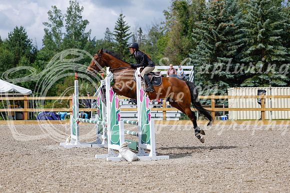 2025 - Haylee - Picco Horse Show - Sunday July 27th 02726