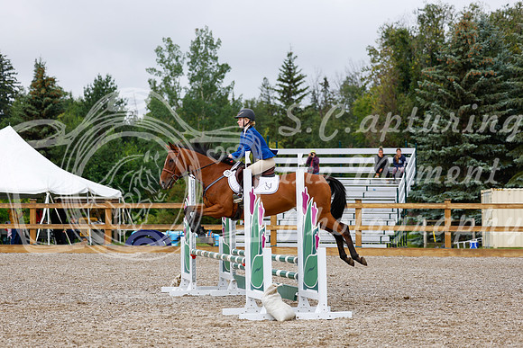 2025 - Haylee - Picco Horse Show - Sunday July 27th 01153