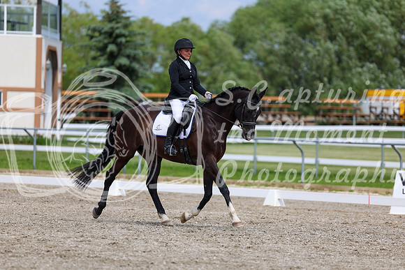 2025 - Dressage Festival - Saturday July 5th - 11404