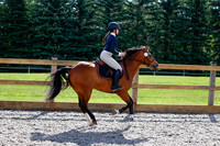 2025 - Haylee - Picco Horse Show - Thursday July 24th 01041